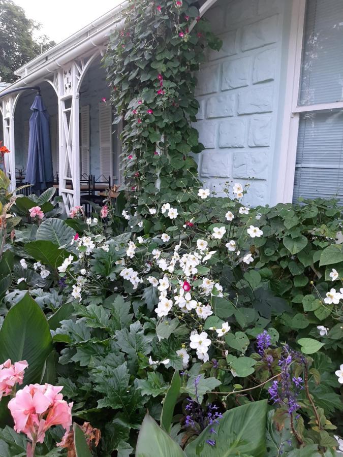 オーツホーン Adley House Bed & Breakfast エクステリア 写真